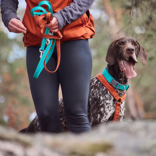 Hurtta Casual Collar Eco Ruby - Obroża dla psa, różowa