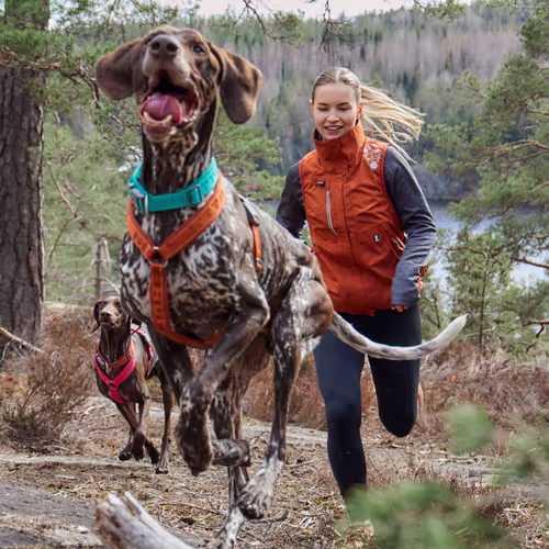 Hurtta Casual Eco Y-Harness Cinnamon - Szelki guard dla psa, brązowe