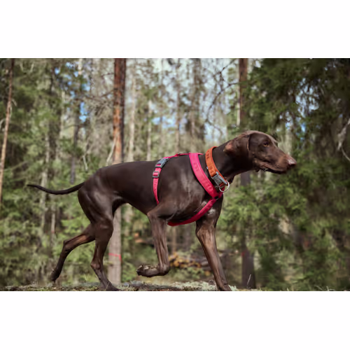Hurtta Casual Eco Y-Harness Cinnamon - Szelki guard dla psa, brązowe