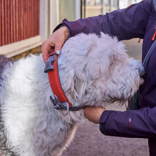 Hurtta Rover Collar Cinnamon - Obroża dla średnich i dużych psów, brązowa