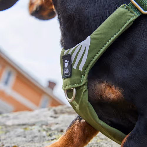 Hurtta Seeker Harness Forest - Szelki dla małych i średnich psów, zielone