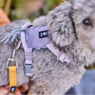 Hurtta Seeker Harness Lavender - Szelki dla małych i średnich psów, lawendowe - obrazek 6
