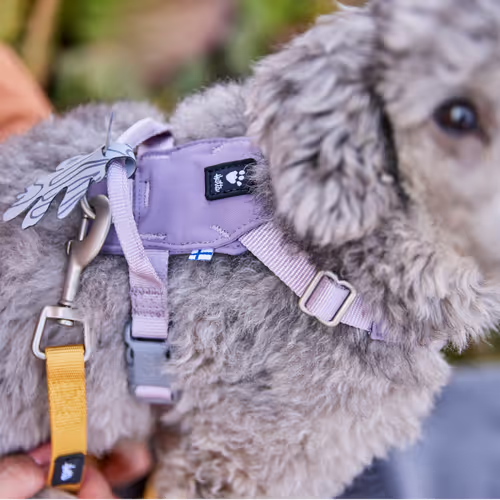 Hurtta Seeker Harness Lavender - Szelki dla małych i średnich psów, lawendowe