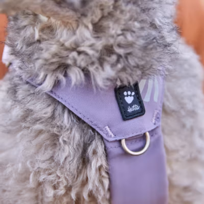 Hurtta Seeker Harness Lavender - Szelki dla małych i średnich psów, lawendowe - obrazek 7