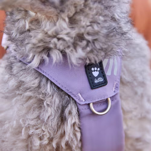 Hurtta Seeker Harness Lavender - Szelki dla małych i średnich psów, lawendowe
