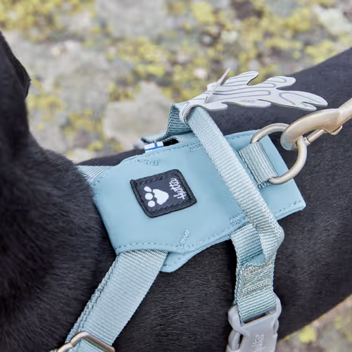 Hurtta Seeker Harness Stream - Szelki dla małych i średnich psów, niebieskie