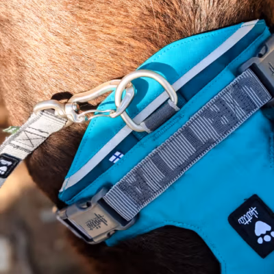 Hurtta Rover Harness Peacock - Szelki dla średnich i dużych psów, turkusowe - obrazek 9