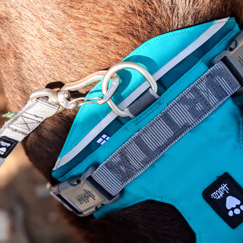 Hurtta Rover Harness Peacock - Szelki dla średnich i dużych psów, turkusowe