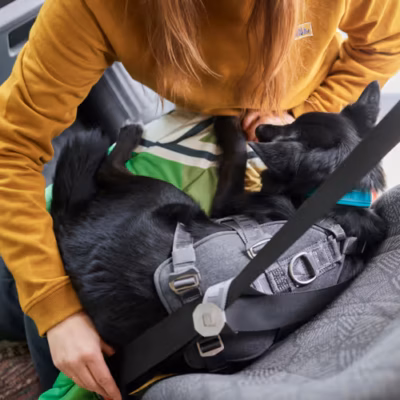 Hurtta Travel Harness Eco - Szelki podróżne dla psa, przypinane do pasów bezpieczeństwa, grafitowe - obrazek 6