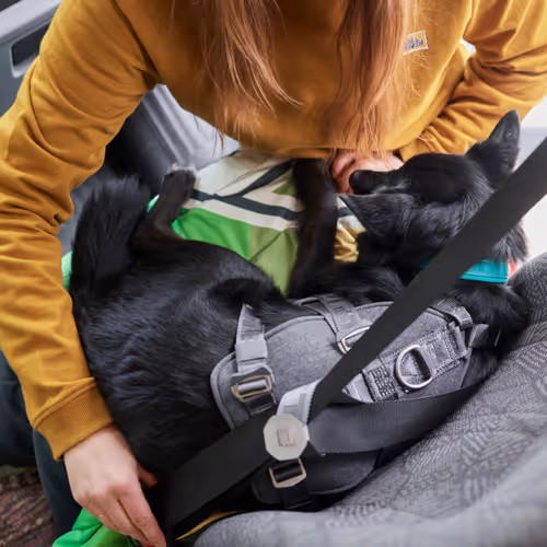 Hurtta Travel Harness Eco - Szelki podróżne dla psa, przypinane do pasów bezpieczeństwa, grafitowe