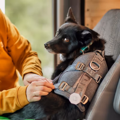 Hurtta Travel Harness Eco - Szelki podróżne dla psa, przypinane do pasów bezpieczeństwa, grafitowe - obrazek 2