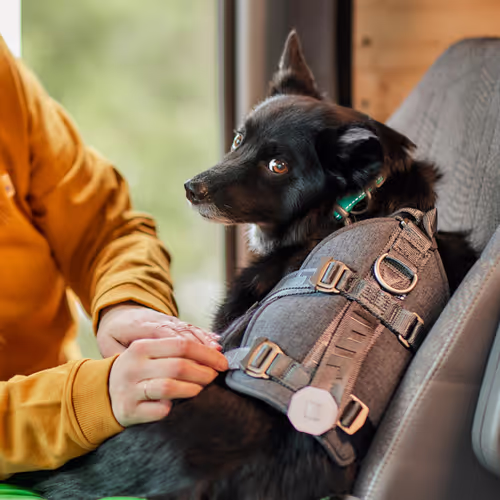 Hurtta Travel Harness Eco - Szelki podróżne dla psa, przypinane do pasów bezpieczeństwa, grafitowe