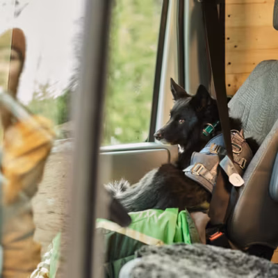 Hurtta Travel Harness Eco - Szelki podróżne dla psa, przypinane do pasów bezpieczeństwa, grafitowe - obrazek 7