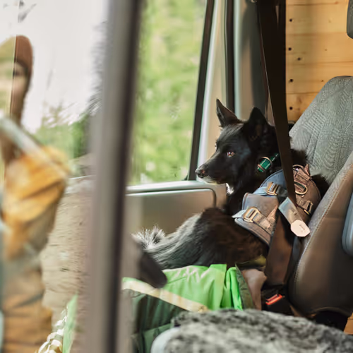 Hurtta Travel Harness Eco - Szelki podróżne dla psa, przypinane do pasów bezpieczeństwa, grafitowe