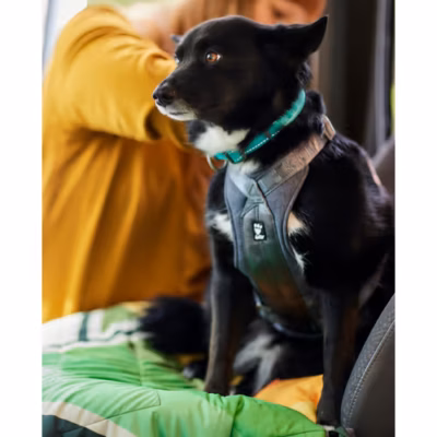 Hurtta Travel Harness Eco - Szelki podróżne dla psa, przypinane do pasów bezpieczeństwa, grafitowe - obrazek 8
