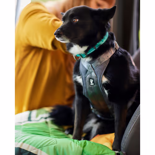 Hurtta Travel Harness Eco - Szelki podróżne dla psa, przypinane do pasów bezpieczeństwa, grafitowe