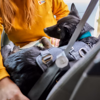 Hurtta Travel Harness Eco - Szelki podróżne dla psa, przypinane do pasów bezpieczeństwa, grafitowe - obrazek 5