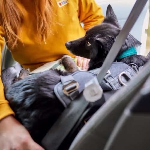Hurtta Travel Harness Eco - Szelki podróżne dla psa, przypinane do pasów bezpieczeństwa, grafitowe