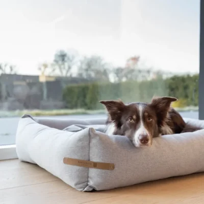 Bowl&Bone Republic Loft – Legowisko, kanapa dla psa i kota, koralowe - obrazek 2