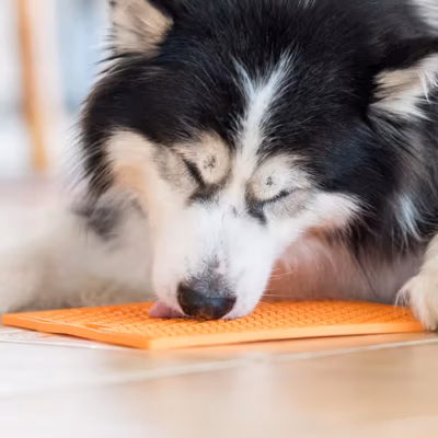 LickiMat Classic Buddy XL - Mata do wylizywania dla średniego i dużego psa, miękka - obrazek 2