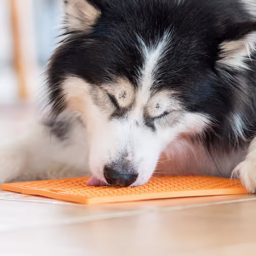 LickiMat Classic Buddy XL - Mata do wylizywania dla średniego i dużego psa, miękka