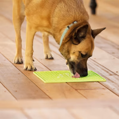 LickiMat Classic Buddy XL - Mata do wylizywania dla średniego i dużego psa, miękka - obrazek 3