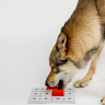 Pawzler Peach - moduł do zabawki logicznej dla psa, poziom 2 - obrazek 2