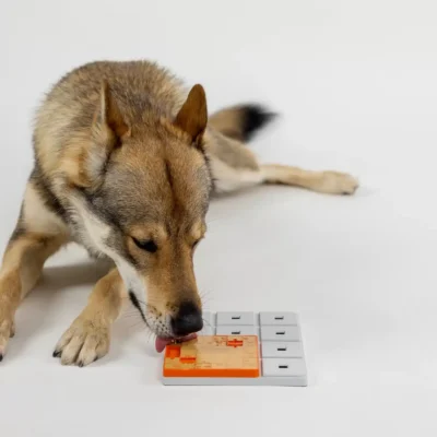 Pawzler Terra - moduł do zabawki logicznej dla psa, poziom 1 - obrazek 2