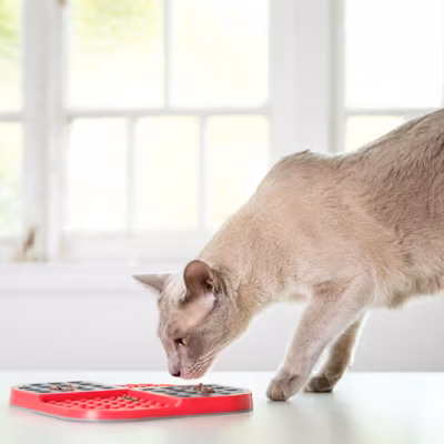 LickiMat Slomo Cat - Mata do lizania dla kota, twarda - obrazek 3