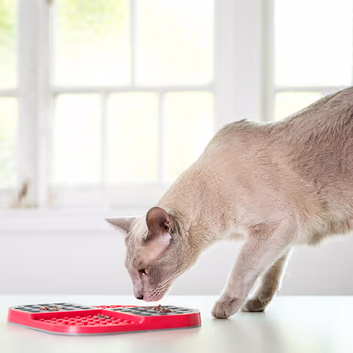 LickiMat Slomo Cat - Mata do lizania dla kota, twarda