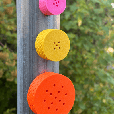 Petsbee Nosework Basic Orange - Puszka do noseworku dla psa, pojemnik na próbki zapachowe, pomarańczowy - obrazek 2