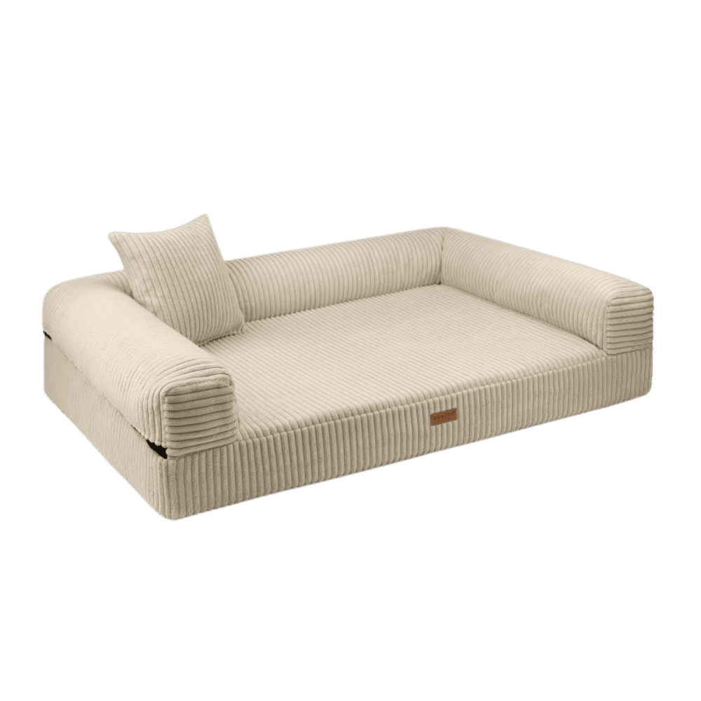 DENZOO Parma Beige – Legowisko z materacem ortopedycznym, kanapa dla psa i kota, beżowe