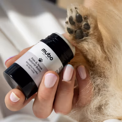 Mubo Paw & Nose Natural Balm Stick - Naturalne masełko do łap i nosa w sztyfcie, dla psa i kota, 25g - obrazek 4