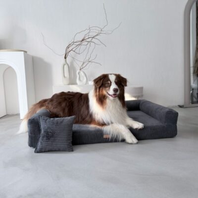 DENZOO Parma Dark Grey – Legowisko z materacem ortopedycznym, kanapa dla psa i kota, ciemnoszare - obrazek 4