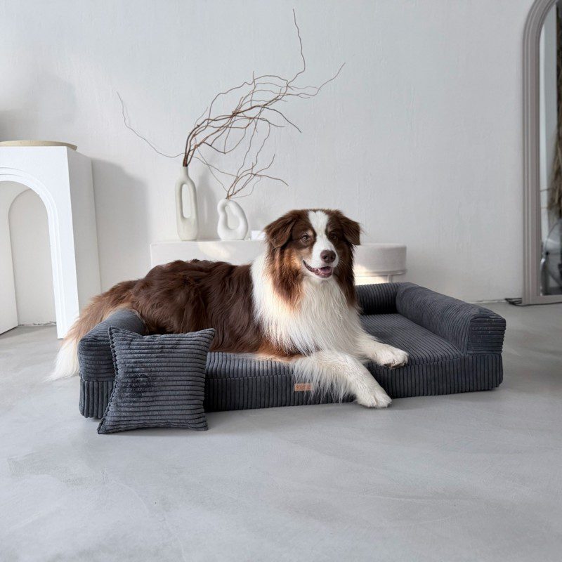 DENZOO Parma Dark Grey – Legowisko z materacem ortopedycznym, kanapa dla psa i kota, ciemnoszare